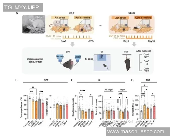 杭州网球队总决赛战术分析与表现评估全面解读 杭州网球队总决赛战术分析与表现评估全面解读