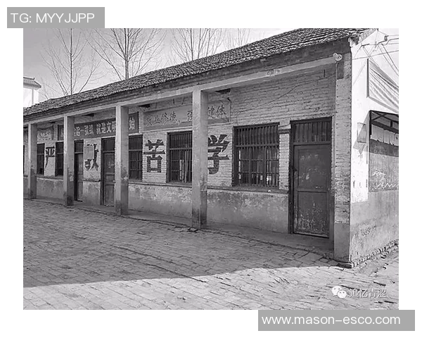 王军专访：从青涩球员到排球教练的成长之路与心路历程回顾