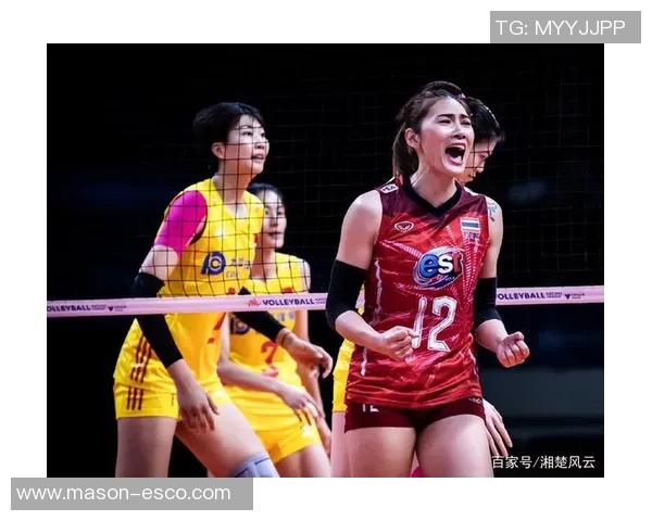 重庆排球队配合策略深度解析与对比分析