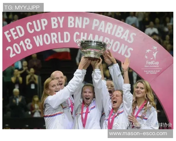 北京网球队在联合会杯中的比赛经验与表现分析