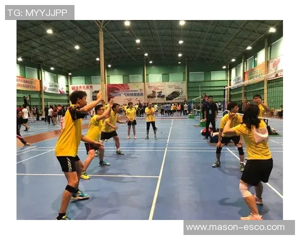 广州排球队在杯赛中的状态分析与表现评估 广州排球队在杯赛中的状态分析与表现评估