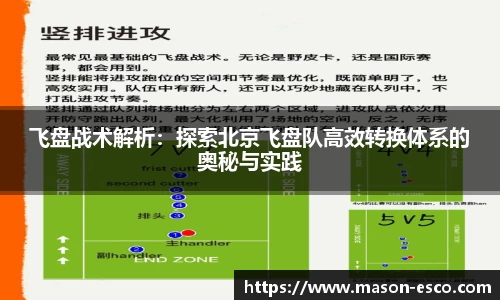 飞盘战术解析：探索北京飞盘队高效转换体系的奥秘与实践