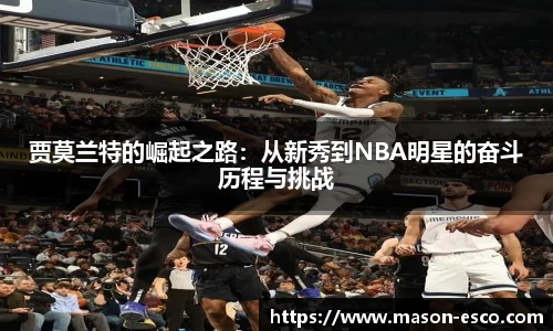 PA视讯平台