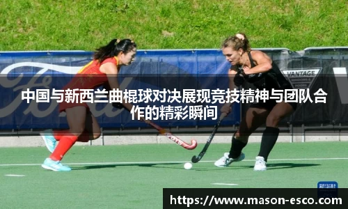 PA视讯官网