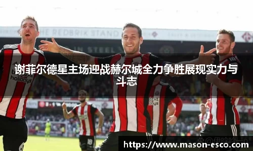 谢菲尔德星主场迎战赫尔城全力争胜展现实力与斗志