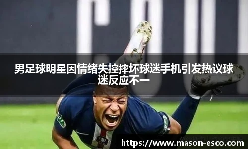 男足球明星因情绪失控摔坏球迷手机引发热议球迷反应不一